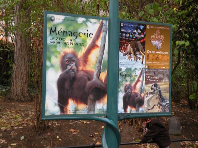  affiches pour la ménagerie et les musées, jardin des Plantes